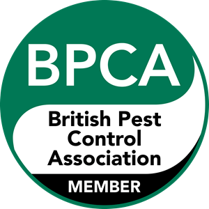 BPCA Logo